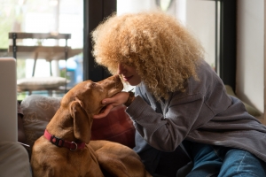 Beginner's Dog Care Guide Beginner's Dog Care Guide
